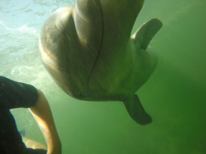 DCIM100GOPROGOPR0279.